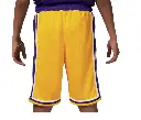 Nike Los Angeles Lakers Icon Edition