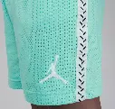 Jordan Dri-Fit MJ Flight MVP