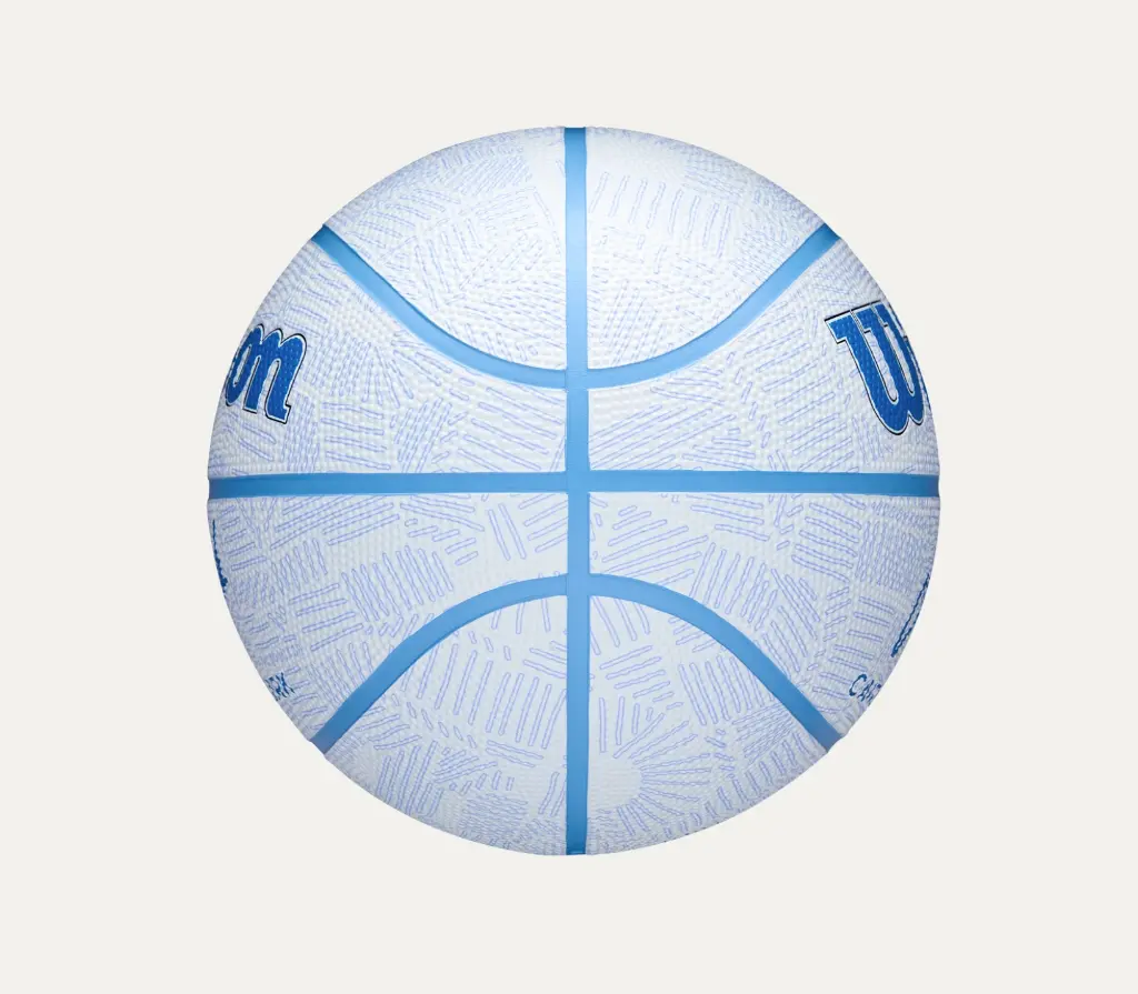 Wilson Caitlin Clark Envision Basketball T5