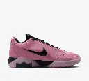 Nike Lebron Witness 9
