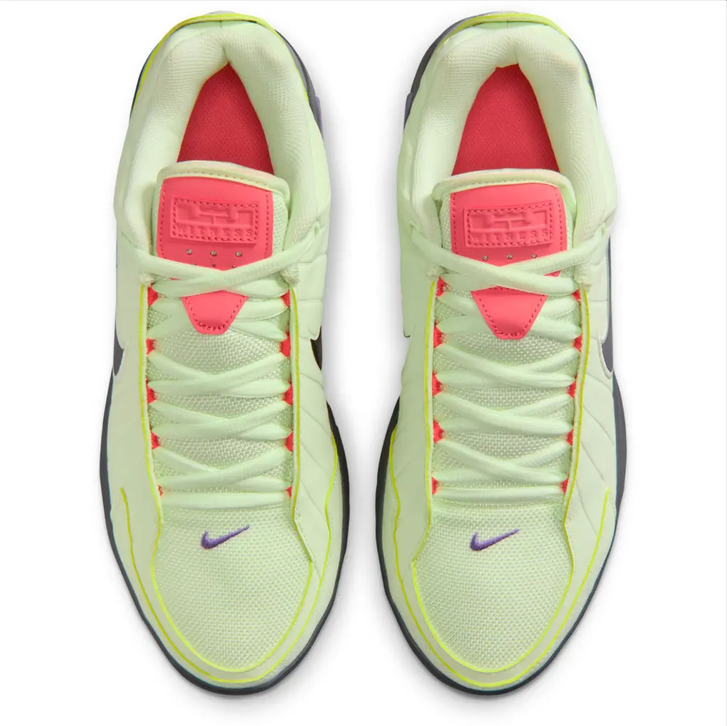 Nike Lebron Witness IX