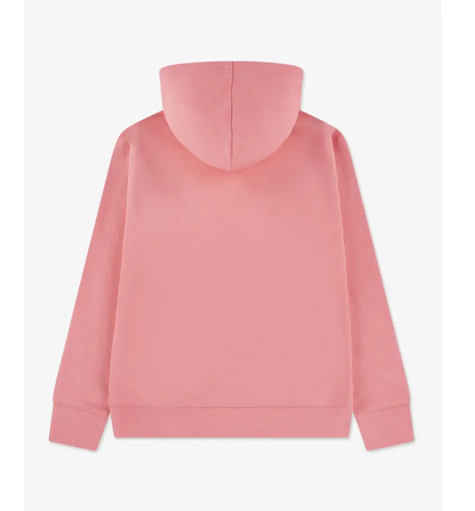 Jordan Sweat à capuche