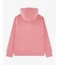 Jordan Sweat à capuche