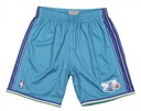 Mitchell & Ness NBA Swingman Charlotte Hornets