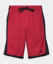 Jordan Sport Short 