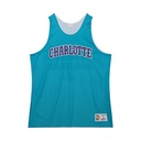 Mitchell & Ness NBA Reversible Mesh Practice Tank Charlotte Hornets