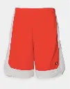 Champion Icons Long Bermuda Short 
