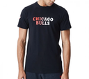 New Era NBA Gradient Wordmark Tee Chicago Bulls