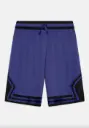 Jordan Diamond Purple Comet 