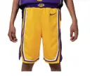 Nike Los Angeles Lakers Icon Edition