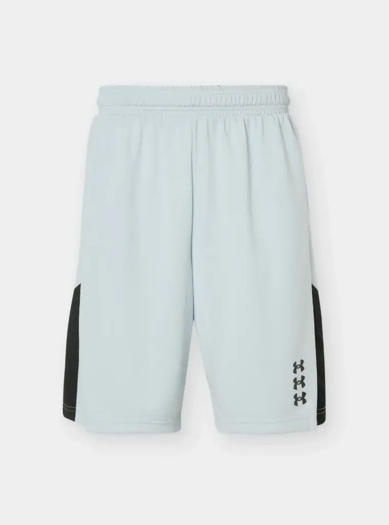 Under Armour M Hoops Next Gen 