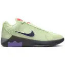 Nike Lebron Witness IX