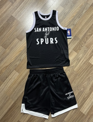 NBA Ensemble Mesh Spurs