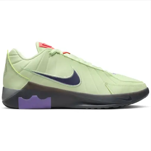 Nike Lebron Witness IX